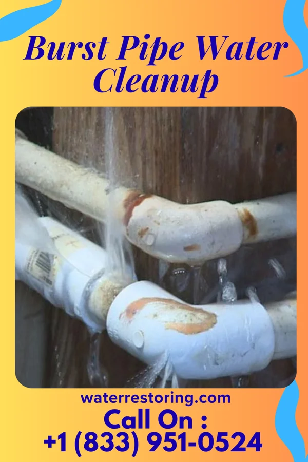Burst Pipe Water Cleanup in Trevose, PA