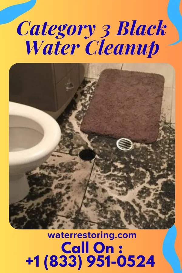 Category 3 Black Water Cleanup in Trevose, PA