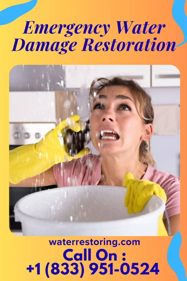 Emergency Water Damage Restoration in Trevose, PA