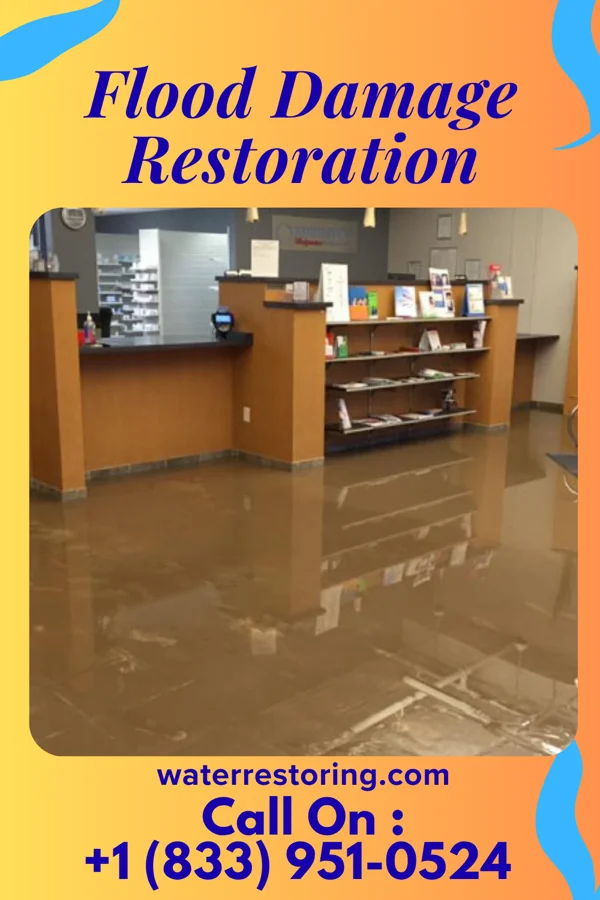 Flood Damage Restoration in Trevose, PA
