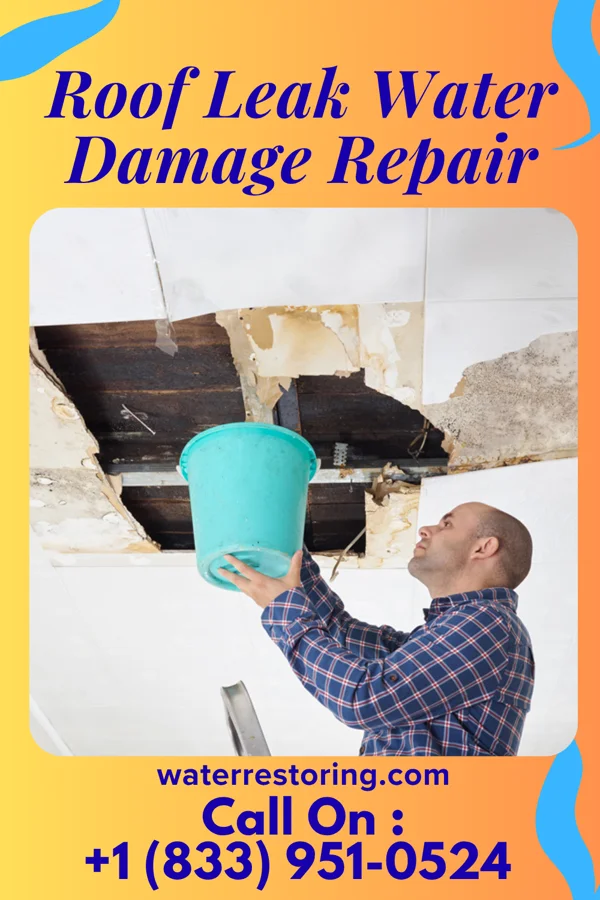 Roof Leak Water Damage Repair in Trevose, PA