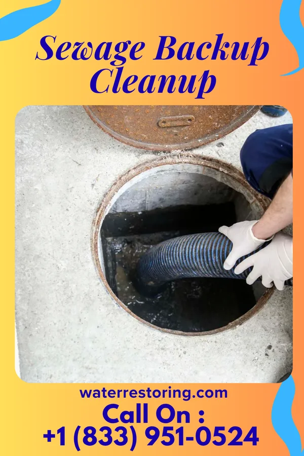 Sewage Backup Cleanup in Trevose, PA