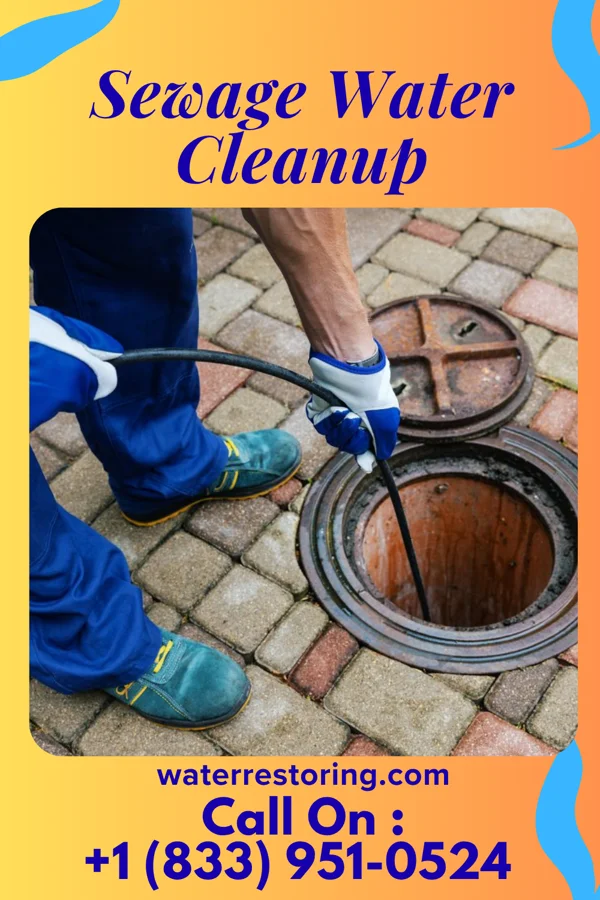 Sewage Water Cleanup in Trevose, PA
