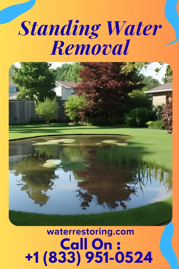 Standing Water Removal in Trevose, PA